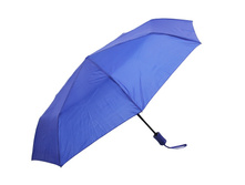 ���� ����: 520 RUB ������� / ���: 965665742 ��������: ���� �������, ������ 110 ��.