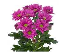 ���������� ��������