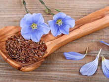 Polzadlyaorganizmasemyanlna 32AFED14.jpg