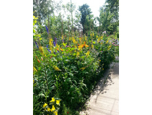 ��������� �������������