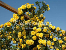 ���� ��������� "������"  �2   300�