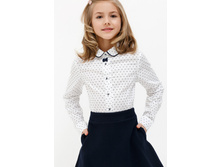 20240260038   Trillium   ����� �����.jpg