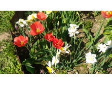 P 20180515 093553.jpg