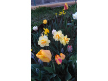 P 20180513 202121.jpg