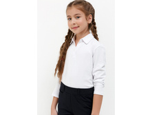 20240100020   Luga   �����.jpg