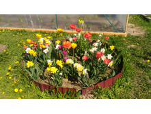 P 20180515 093803.jpg