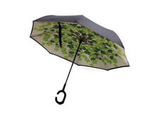 ���� - ����������� ����: 623 RUB ������� / ���: 961683254 ��������: ����-������ (�����������), ������ 80 ��