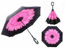 ���� �������� (���: � �������� , ����: �������) ����: 642 RUB ������� / ���: 961798382