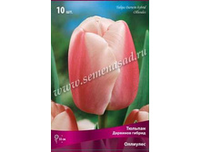 ������� ��������.jpg