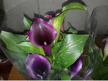 ����� ����