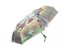 ���� ����: 559 RUB ������� / ���: 965667239 ��������: ���� �����������, ������ 105 ��.