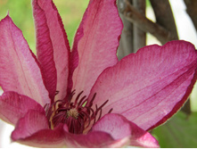 �������� ��������������� �������.JPG