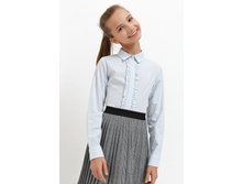 20240260040   Hibiscus   �������.jpg