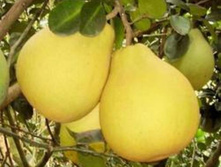 ����� ���� ��������� �4 500�,  �7 560�