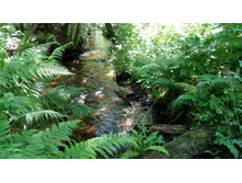 IMG 20180616 105526.jpg