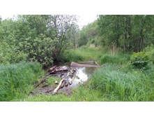 IMG 20180602 122825.jpg