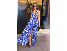 Plate-6025.jpg  1258���