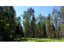 IMG 20180616 103420.jpg