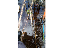 IMG 20180602 123629.jpg