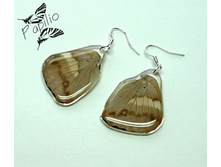 ������ Apatura ilia, 250