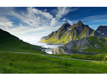 Rassvet derevia trava 114813 1920x1200.jpg