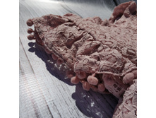 IMG 20180522 115811 HHT.jpg