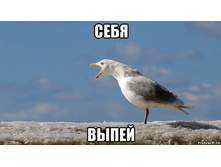 ���� �����!