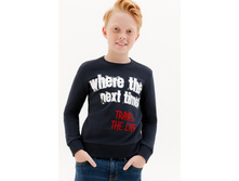 10110100043 �����-�������.jpg