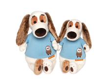 ���������� � �������� � �����