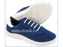 ���� �������