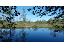 IMG 20180616 141306.jpg