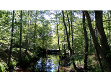 IMG 20180616 092634.jpg