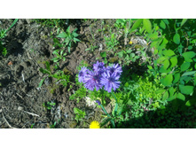 P 20180521 085108.jpg