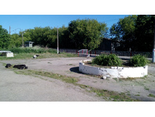 IMG 20180616 081015.jpg