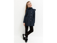 20240630005   Alstomeria   �����-�������.jpg