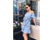 Plate-5938.jpg  1195���