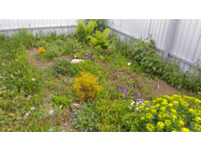 P 20180602 085956.jpg