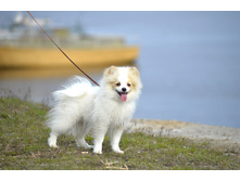 �������� .jpg