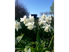 �������