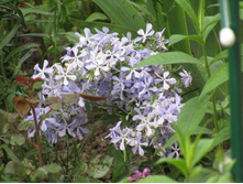 ����� �������������.JPG