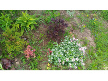 P 20180527 152251.jpg