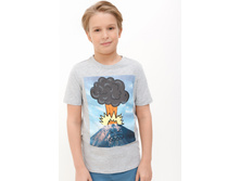 20110110119   Pissaro   ������-�����.jpg