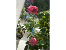 DSC00026.JPG