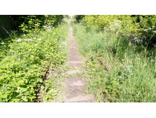 IMG 20180616 083131.jpg