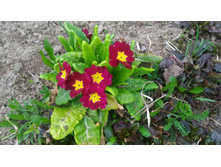 P 20180506 164228.jpg