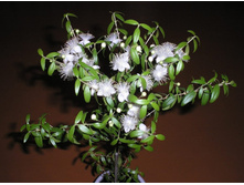 ���� - �������� ..