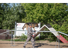 ��� 16.06.2016 �. �������� ������