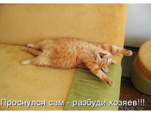 ��������� ��� - ������� ������!