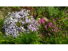 P 20180527 152016.jpg