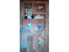 IMG 20180612 124342.jpg